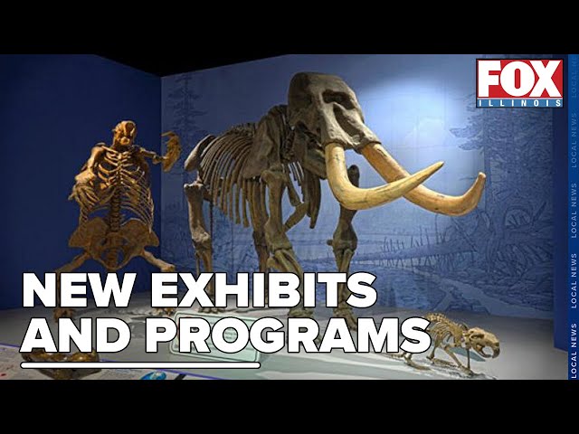 Illinois State Museum's New Exhibits and Programs