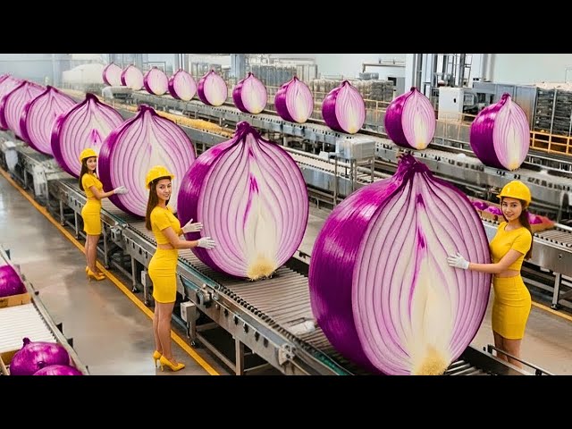 Dentro de la Mayor Fábrica de Alta Tecnología de Producción de Cebolla en Polvo