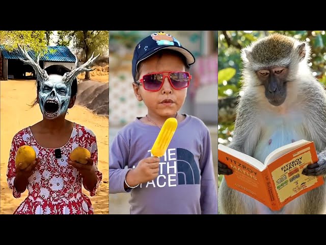 Rudra look, even a monkey is studying || Rudra and Mansi video || #shortfilm #comedy