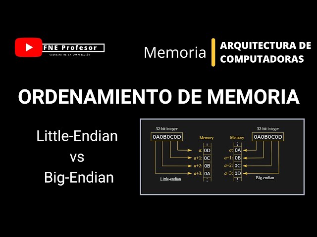 MEMORY ORGANIZATION | LITTLE-ENDIAN VS BIG-ENDIAN | PROCESSOR ARCHITECTURE