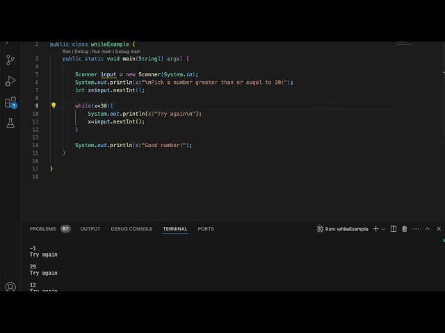 Java "While Loops" Tutorial