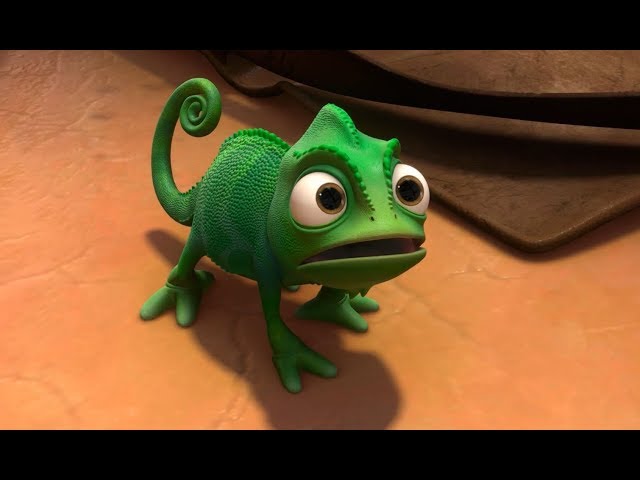 Maximus and Pascal Best Moments