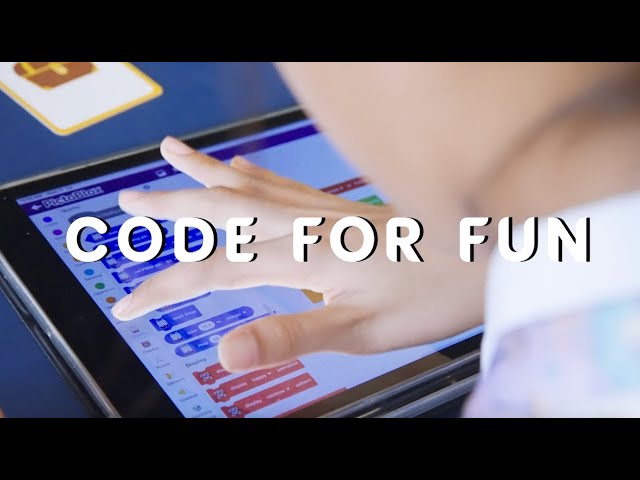 Code for Fun - AI for Fun pilot 2024