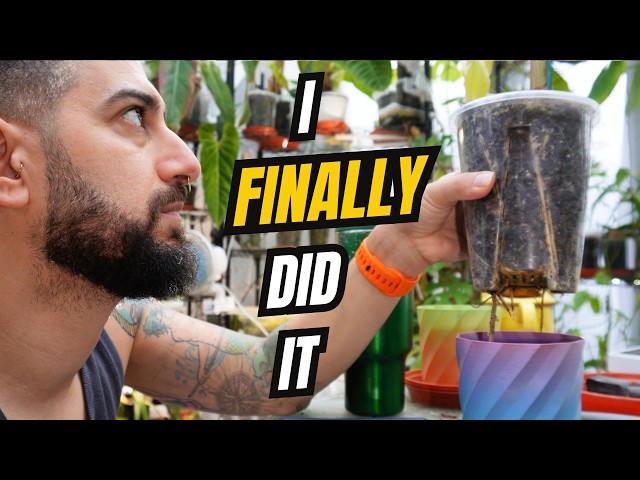 🌿 My Plant Collection Looks VERY Different Now... 😳