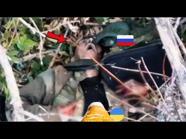 Ukrainian FPV Drone Hunts Russian Troops in Forest | Ukraine War