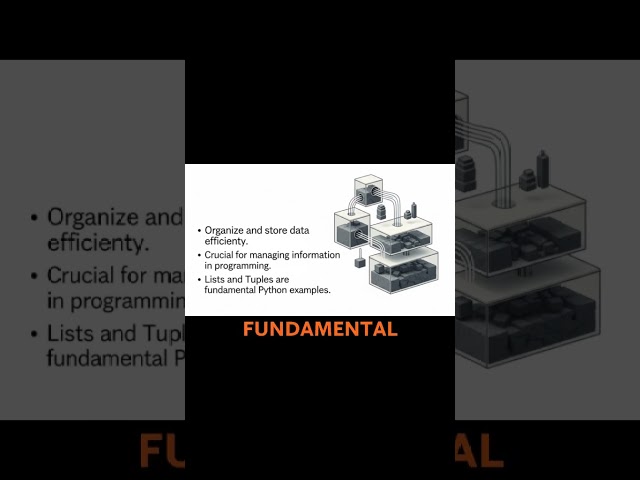 Lists vs Tuples in Python: What’s the Real Difference?