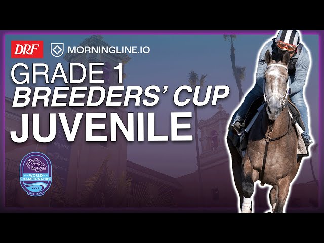 DRF Friday Race of the Day | Grade 1 Breeders' Cup Juvenile | October 31, 2025