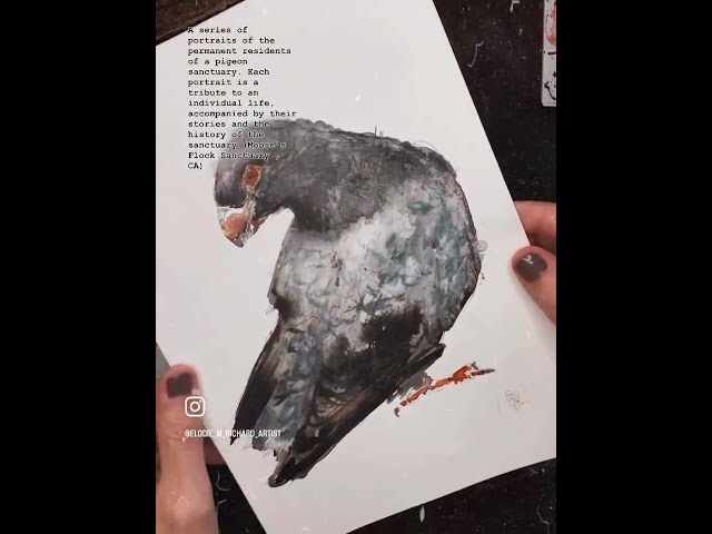 When Art Meets Advocacy - 50+ portraits of the Permanent Residents of Moose's Flock Sanctuary (2025)