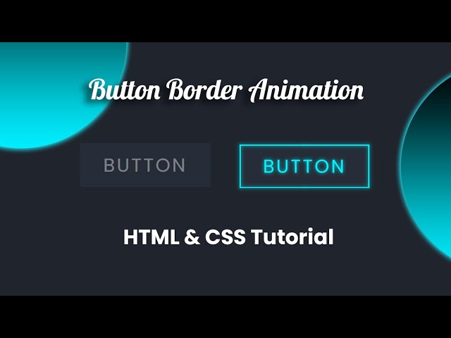 Discover the EASIEST Way to Create Button Border Hover Animation Effects in HTML & CSS