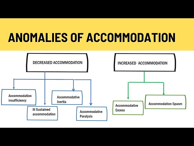 Accommodative Anomalies EXPLAINED! | Insufficiency, Inertia, Paralysis & More