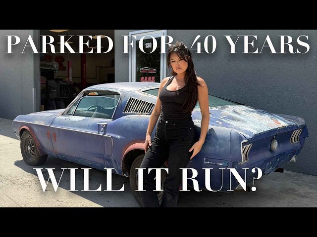 CARS by Constance - '68 Mustang parked for 40 years! Will it run?