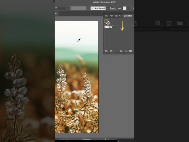 Illustrator Tutorial — Pull Color Swatches from Images #shorts #tutorial