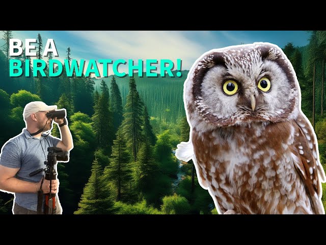 Birdwatching 101: 10 Essential Tips for Beginners