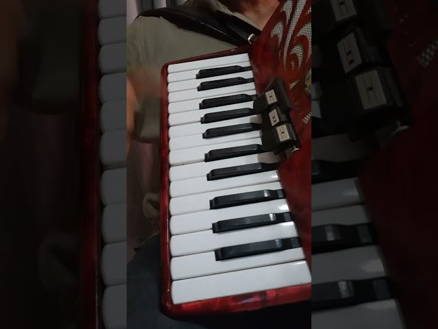 El muchacho alegre tutorial para acordeón de teclas nivel súper fácil