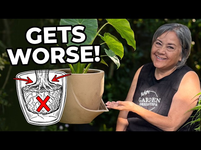 The Container Gardening Mistake That Gets Worse Every Year You Ignore It