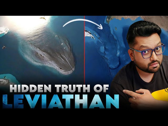 Mystery of Leviathan - The Most Terrifying Giant Mythical Sea Monster!