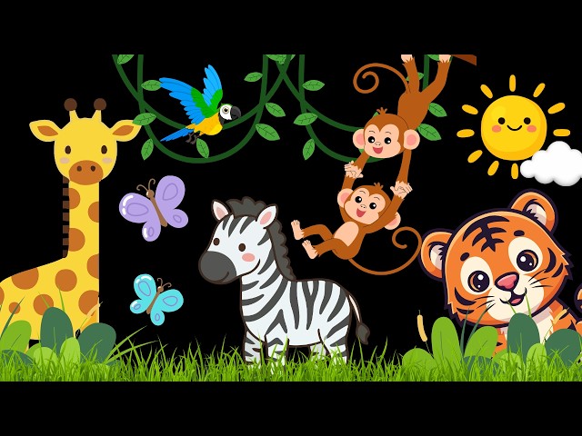 Peekaboo Jungle Baby Sensory Video with High Contrast and Visual stimulation