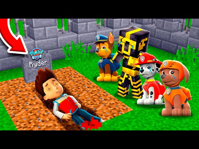 Ryder from Paw Patrol dies in Minecraft 😱