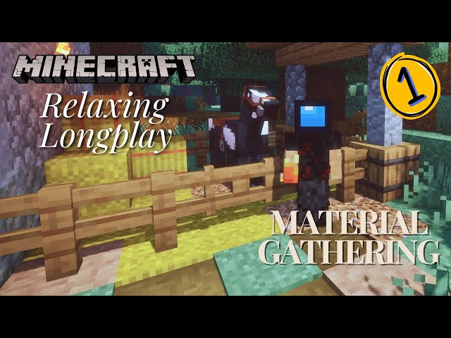 FIRST EVER Minecraft Java Quest | Relaxing Minecraft Longplay | No commentary | Sleep | Study