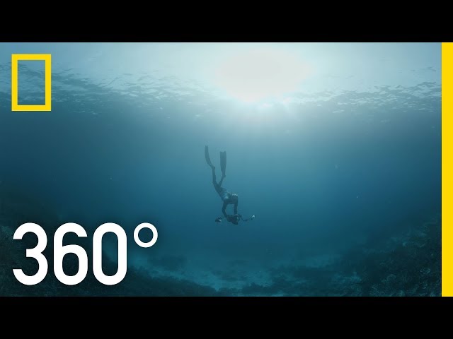 Los arrecifes de coral de Indonesia - 360 | En el agua