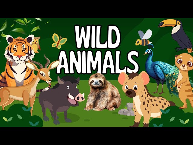 Wild Animals | Learn Animal Names with Sounds🦁| Animals for Kids |  Animals Names in English & Hindi