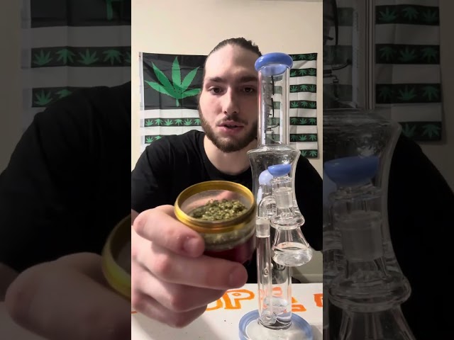 Strain review Bleu Zlushie out of the terp tube