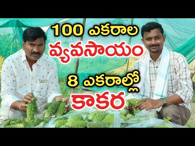 100 ఎకరాల్లో వ్యవసాయం.. టమాటాతో 2 కోట్ల లాభం | రైతు బడి
