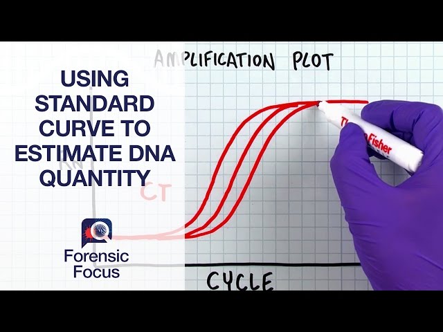 Using Standard Curve to Estimate DNA Quantity - Forensic Focus #4