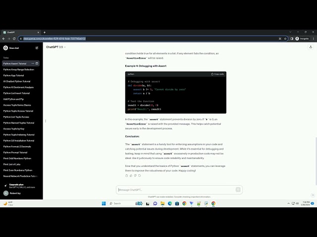 python assert example
