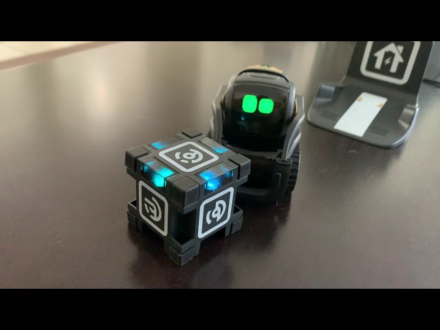 Meet Vector the smart robot assistant