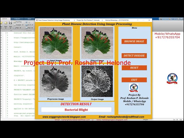 Plant Disease Detection Using Image Processing | Plant Disease Detection Using Deep Learning Matlab