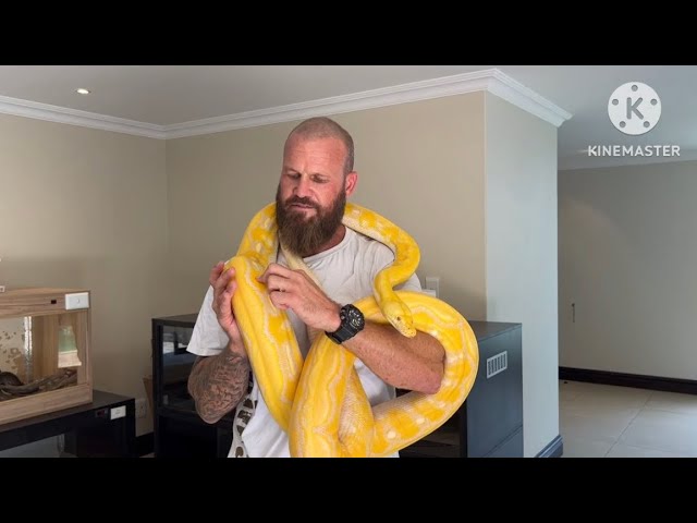 Reticulated Python setup