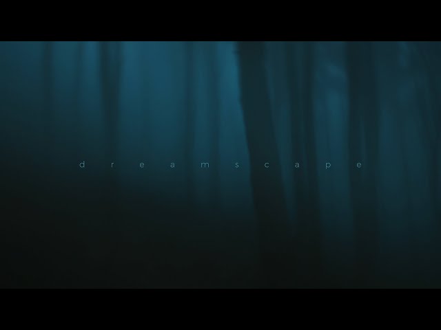 .diedlonely - bipolar