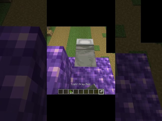 This Is the TRUE Way to Create a Light Gray Bed in Minecraft! 😱