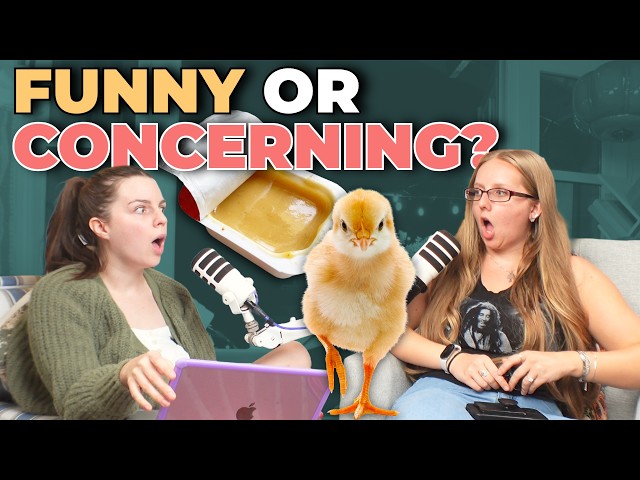 The Worst Student Behavior Stories Teachers Sent Us | from the Teacher Quit Talk Cinematic Universe