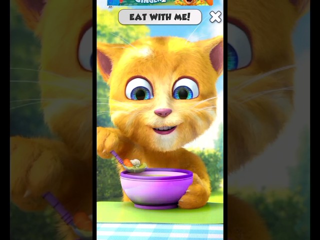 Talking Ginger eating food😋 🍦🧁🍰🥝🍄🥦🧊🍧🍨