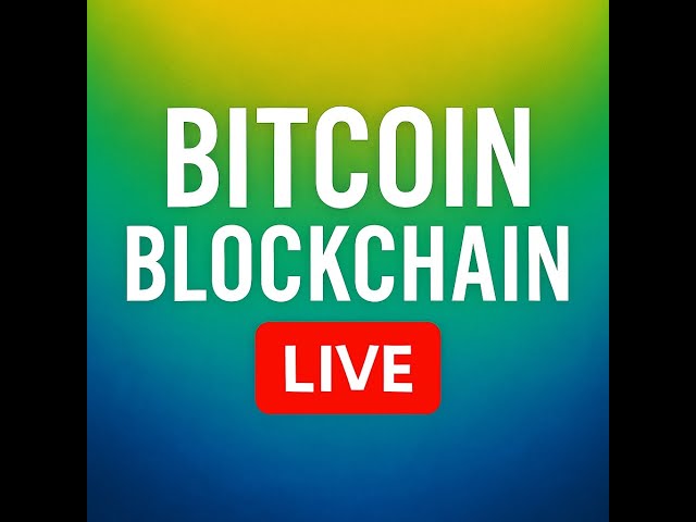 Bitcoin Blockchain Live - Every Transaction, Every Second