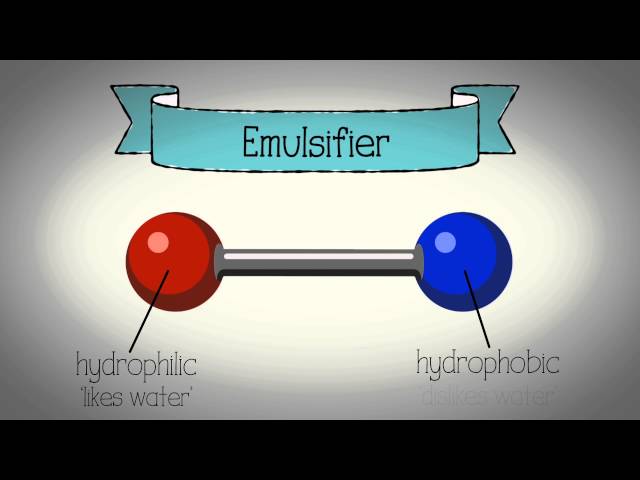 Emulsification animation - WJEC Eduqas GCSE Food Preparation and Nutrition