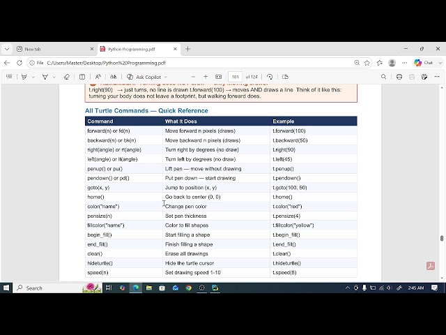 Example of Turtle Library in Python Programming