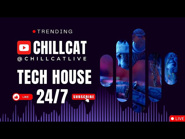ChillCat Tech House | 24/7 Groovy Tech House Mix | Deep Bass • Club Vibes • Live Stream