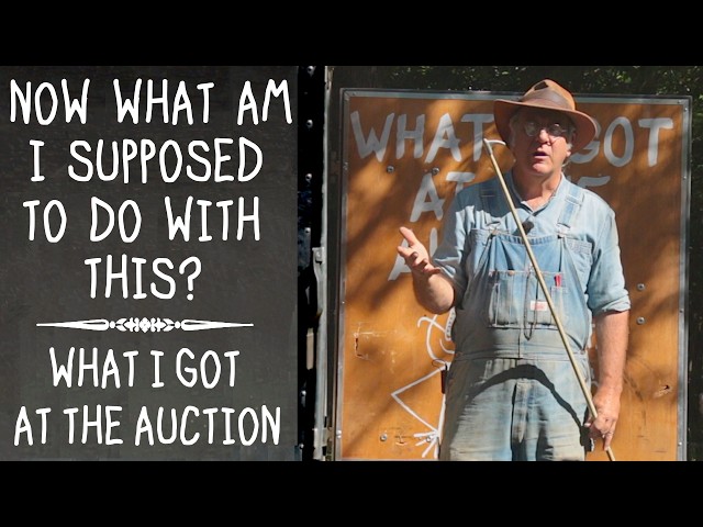 What I Got at the Auction