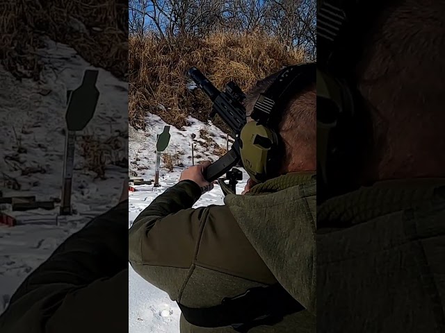 CZ Scorpion Evo 3 with a Brace folded away - also surpressed