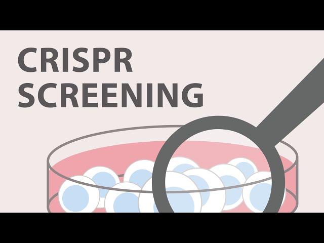 5) CRISPR Cas9 - Screening and Validation Strategies