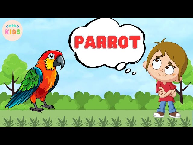 Parrot Facts For Kids - Learn All About Parrots | MON Kids