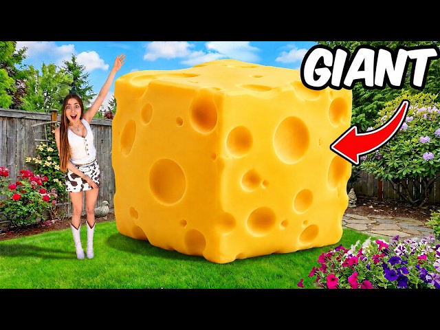 I Made the Worlds Biggest Cheese SQUISHY!