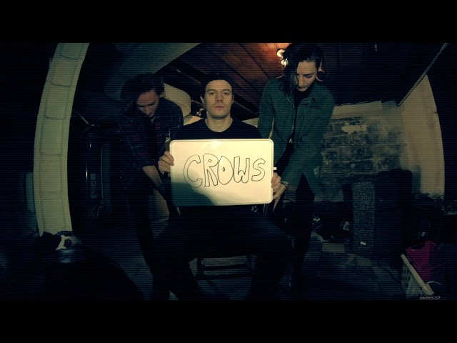 Crows - The Plot In You