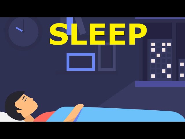 Sleep (Cycle, EEG Waveforms, Pathology)
