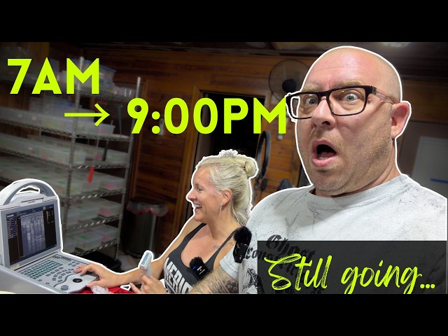 A Day in Our Life Building a Snake Business Ep10