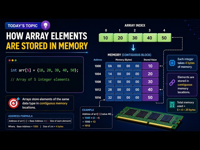 How Array Elements Are Stored in Memory (RAM) | Memory Addresses Explained Visually